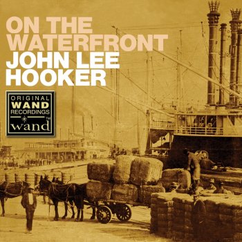 John Lee Hooker Losing You