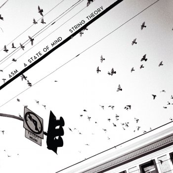 Исполнитель A.S.M., альбом String Theory