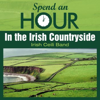 The Irish Ceili Band Did Your Mother Come from Ireland
