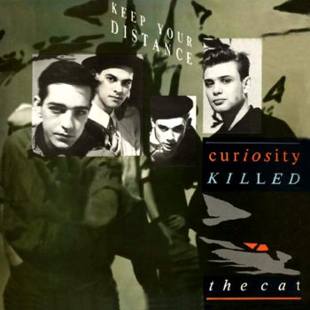 Curiosity Killed the Cat Shallow Memory