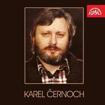 Karel Černoch feat. Peter Dvorsky Perhaps Love