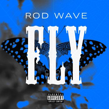 Rod Wave Fly