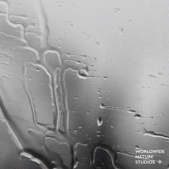 Исполнитель Worldwide Nature Studios, альбом Rain Sounds Vol. 2 - EP