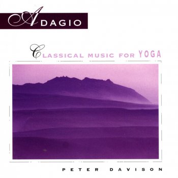 Peter Davison Andante Flute Sonata #5 Johann Sebastian Bach