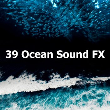 Ocean Sounds FX Crashing Waves