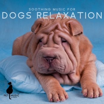 Pet Music Academy Music for Dog Anxiety