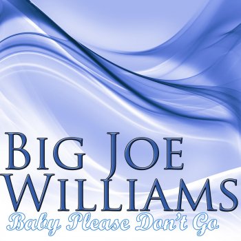 Big Joe Williams Nobody Knows You