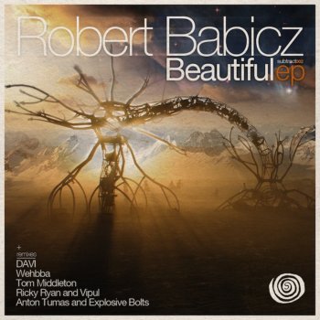 Robert Babicz Beautiful (Night Mix)