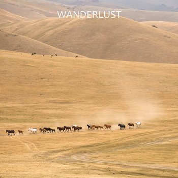 Wanderlust Out of the Shadows