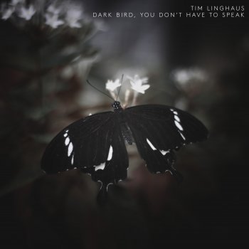 Tim Linghaus Dark Bird, You Don't Have To Speak