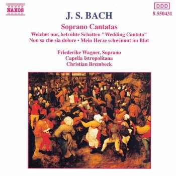 Johann Sebastian Bach, Friederike Wagner, Capella Istropolitana & Christian Brembeck Weichet nur, betrubte Schatten, BWV 202, "Wedding Cantata": Aria: Wenn die Fruhlingslufte streichen