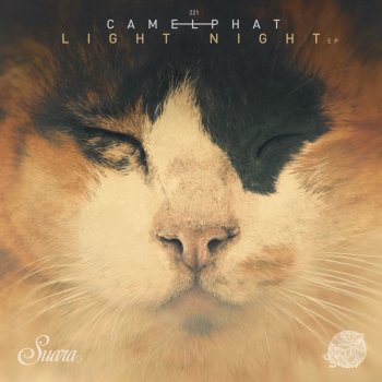 CamelPhat Light Night