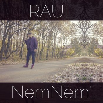 Raul Nemnem