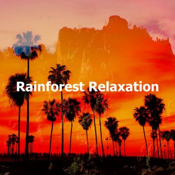 California Nature Sounds Pine Dewdrop