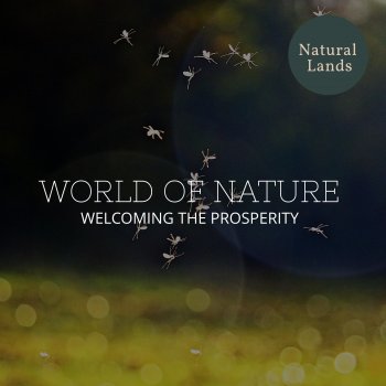 Visible Nature Picture Music Vindictive Crickets