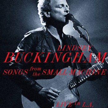 Lindsey Buckingham Never Going Back Again