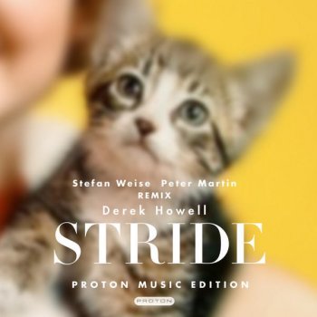 Derek Howell Stride (Peter Martin Remix)