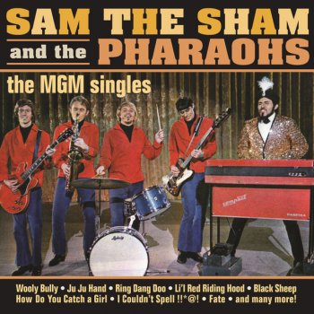 Sam the Sham & The Pharaohs I never Had No One - Single Version