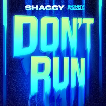 Shaggy feat. Skinny Fabulous Don't Run (feat. Skinny Fabulous)