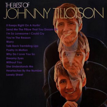 Johnny Tillotson Send Me the Pillow You Dream On (Maydu)