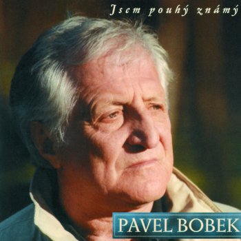 Pavel Bobek Motýlek ráno