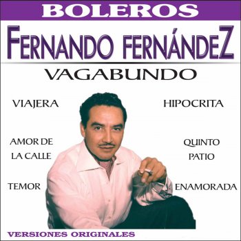 Fernando Fernández Cuando Vuelva a Tu Lado