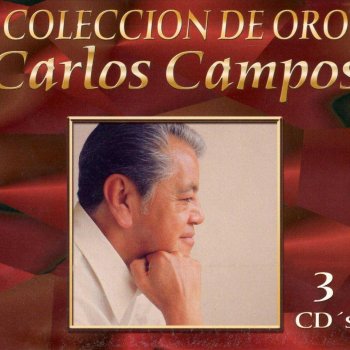 Carlos Campos Recuerdos No.2 (Tristeza - Hojas secas)