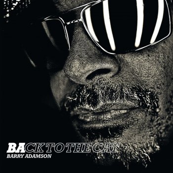 Barry Adamson Straight 'til Sunrise