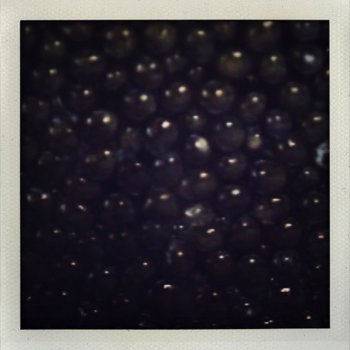 Исполнитель Sucré Salé, альбом Caviar & Champagne