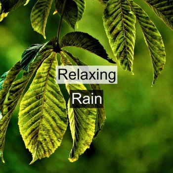 Исполнитель Relaxing Rain Sounds, альбом Relaxing Rain