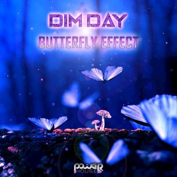 Dim Day Butterfly Effect