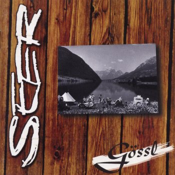 Исполнитель SEER, альбом Gössl