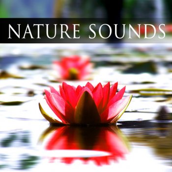 Om Meditation Music Academy Fresh Air (Nature Music)