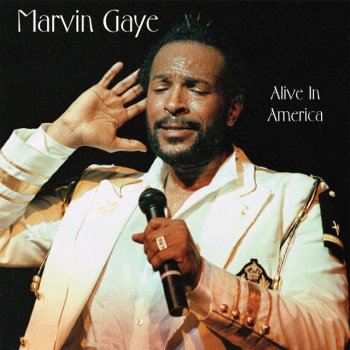 Marvin Gaye I Heard It Through The Grapevine