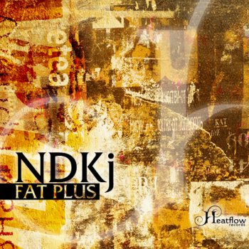 NDKj Fat Plus (Tomy DeClerque Remix)