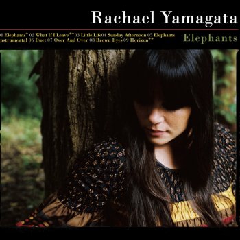 Rachael Yamagata Horizon