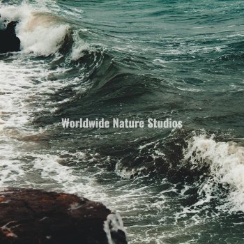 Исполнитель Worldwide Nature Studios, альбом Ocean HD Waves - Single
