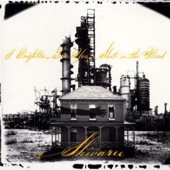 Shivaree Goodnight Moon (live)