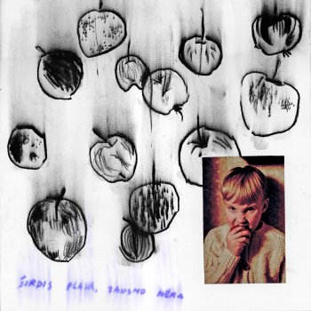 Исполнитель Abudu, альбом Širdis Plaka, Jausmo Nėra - Single