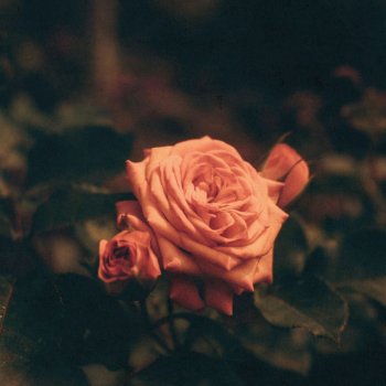 Frédéric Chopin feat. Olga Scheps & Raphaela Gromes Nocturnes, Op. 32: II. Lento (Arr. for Cello & Piano by Julian Riem)