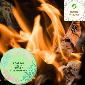 Fire Play Noise Project A Chilly Country Morning