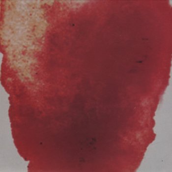 Manta Ray Por Que Esperar