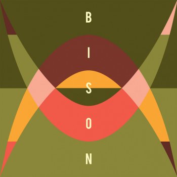 Bison Familiar Stranger - Day