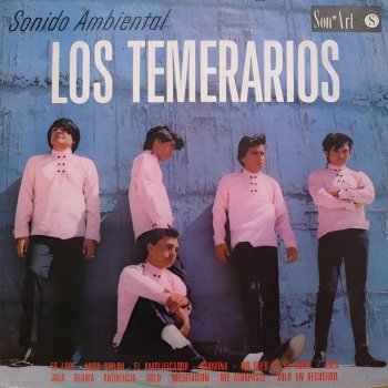 Los Temerarios Sólo un Recuerdo
