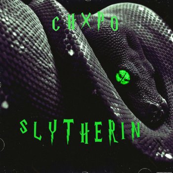 Chxpo Slytherin