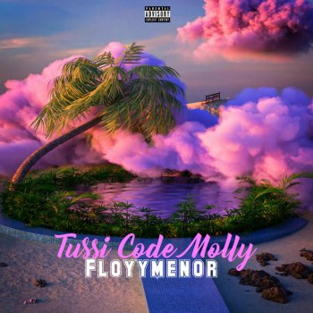 FloyyMenor Tussi code molly