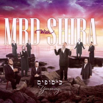 Mordechai Ben David Menucho Vsimcho