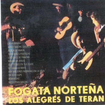 Los Alegres De Terán Borracho [Ranchera]