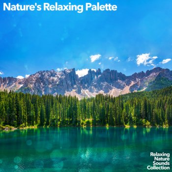 Relaxing Nature Sounds Collection Dance Green