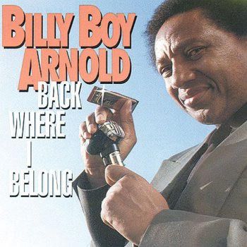 Billy Boy Arnold Shake the Boogie